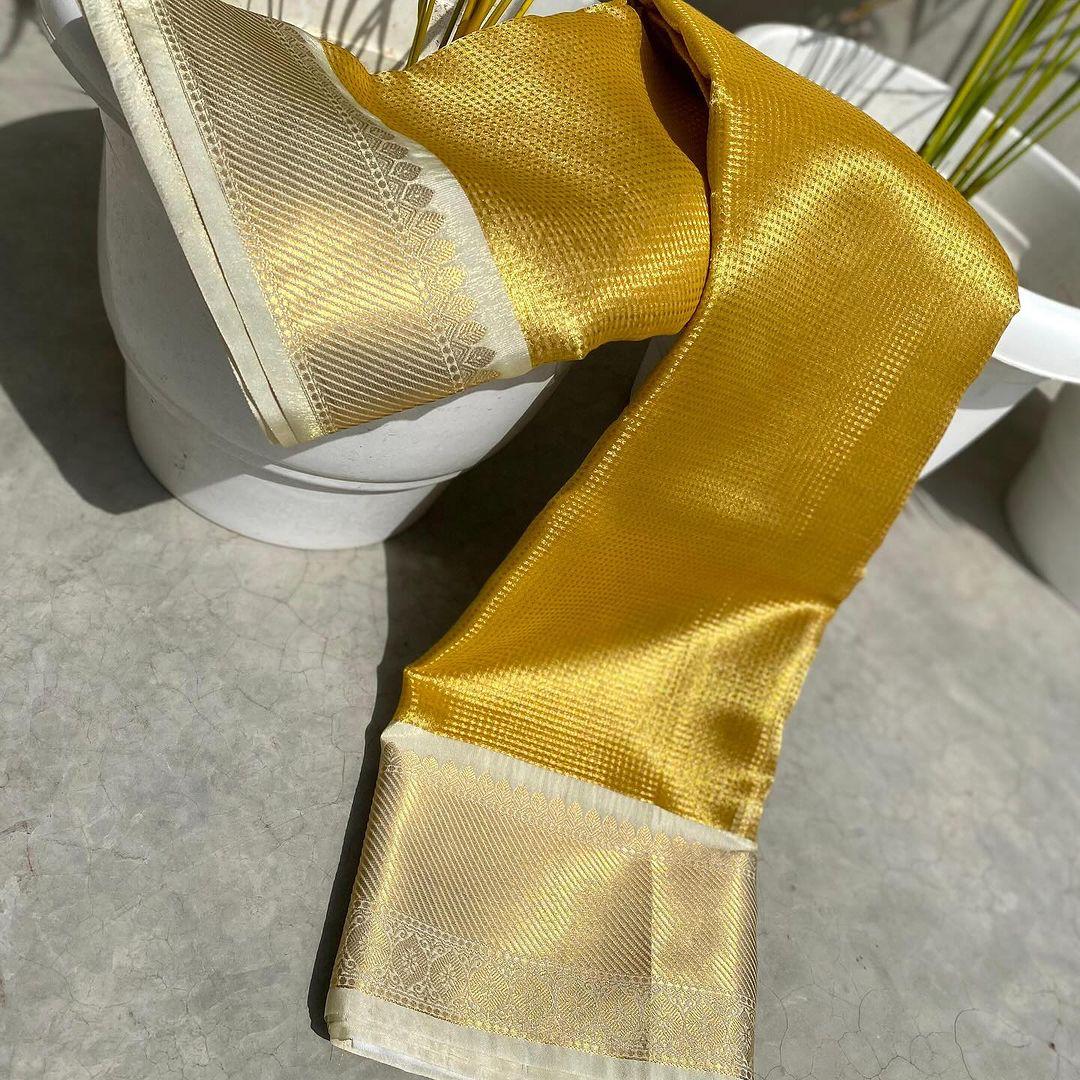 Exclusive Banarasi Glass Tissue Silk Gold zari Saree with  Contrast border & Pallu