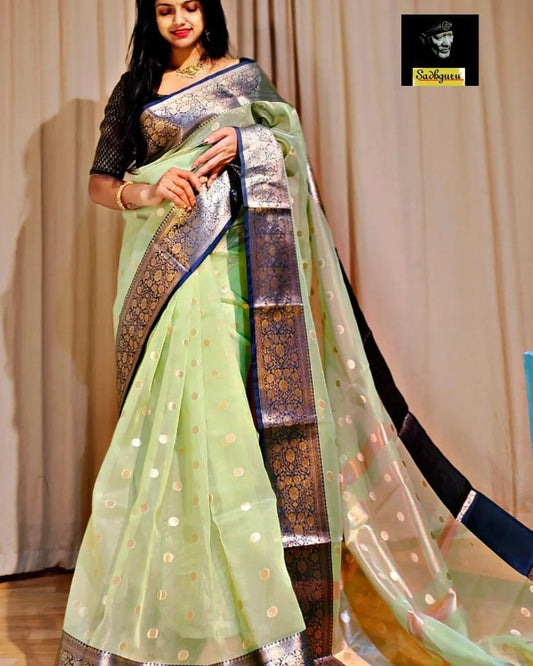 Traditional banarasi Bitti pattern organza Green colour Saree