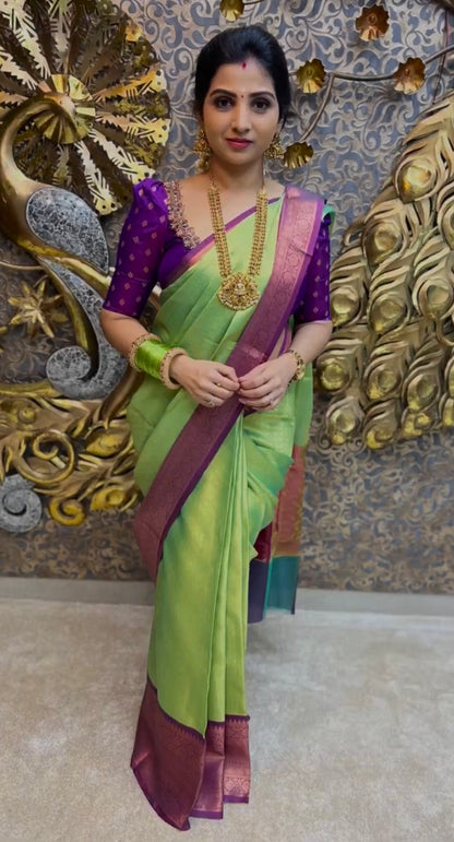 Traditional kanchi kora muslin Zari weaving skirt border saree
